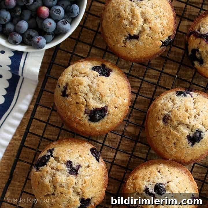 39 Berry Recipes to Make All Year 13 Basic Blueberry Muffin Recipe