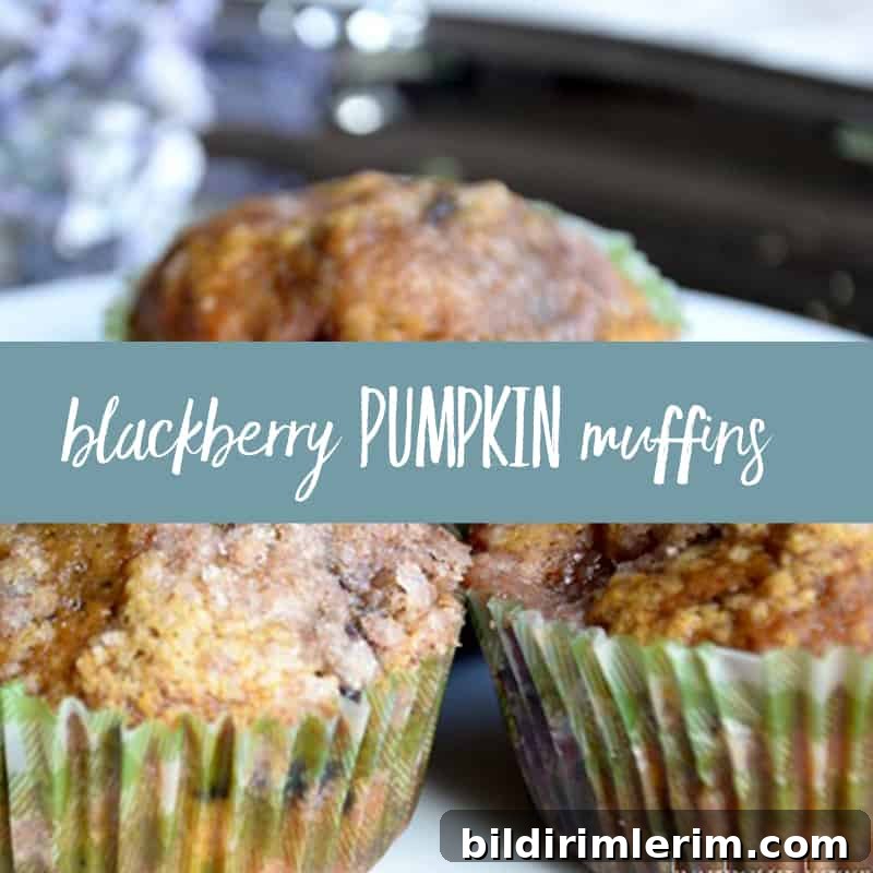 39 Berry Recipes to Make All Year 15 Blackberry Muffins Recipe