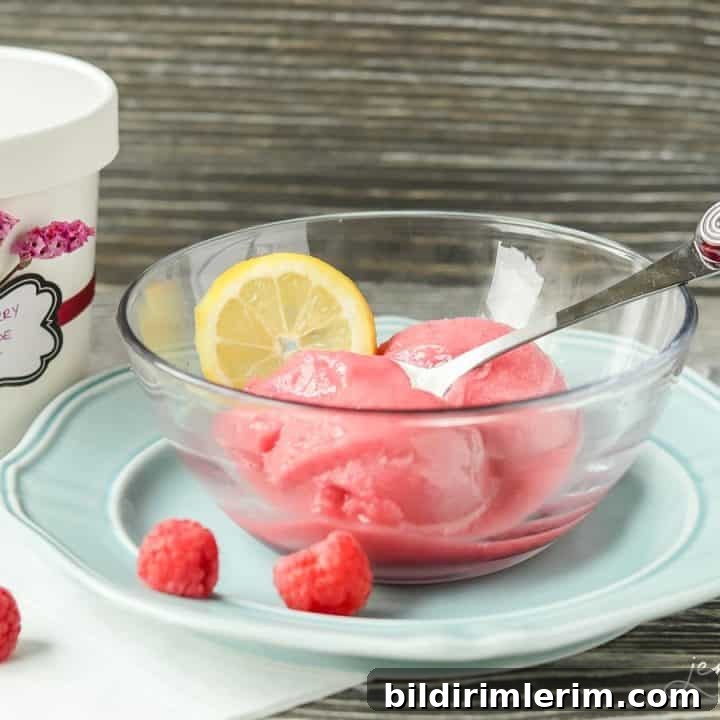 39 Berry Recipes to Make All Year 18 Raspberry Lemon Sorbet