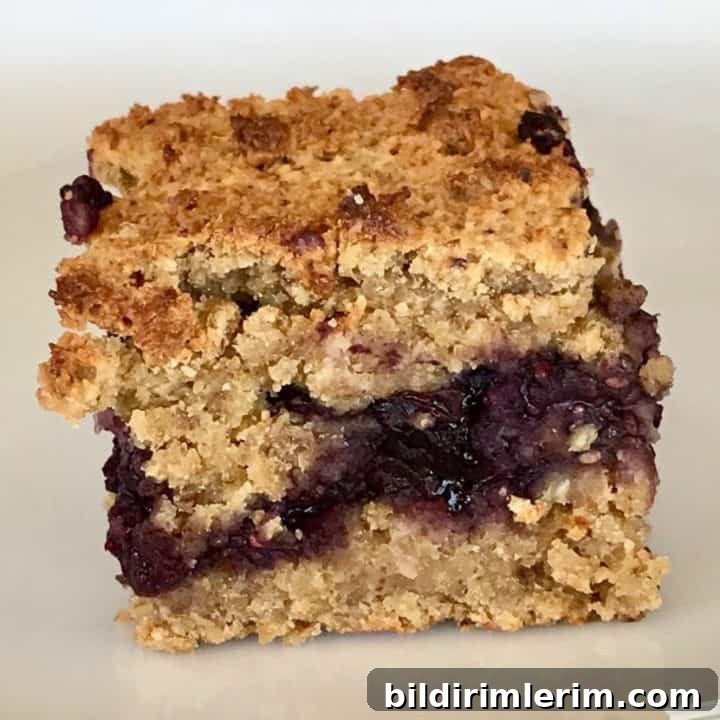 39 Berry Recipes to Make All Year 23 Healthy Blueberry Crumble Bars
