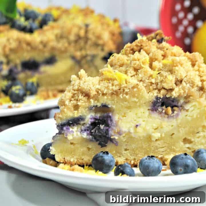 39 Berry Recipes to Make All Year 24 Lemon Blueberry Cake with Cream Cheese Filling
