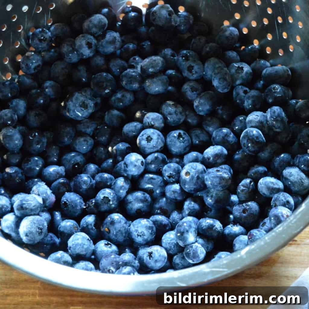 39 Berry Recipes to Make All Year 33 Beginner’s Guide to Blueberry Jam