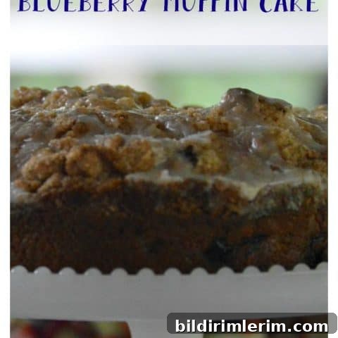 39 Berry Recipes to Make All Year 35 Blueberry Muffin Cake