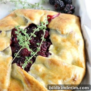 39 Berry Recipes to Make All Year 5 Blackberry Thyme Rustic Pie