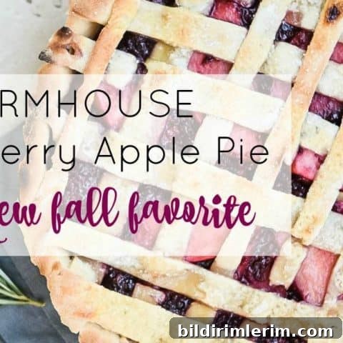 39 Berry Recipes to Make All Year 6 Farmhouse Blackberry Apple Pie