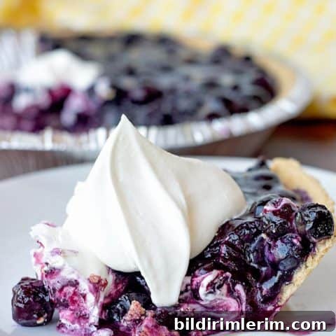39 Berry Recipes to Make All Year 7 No Bake Blueberry Pie