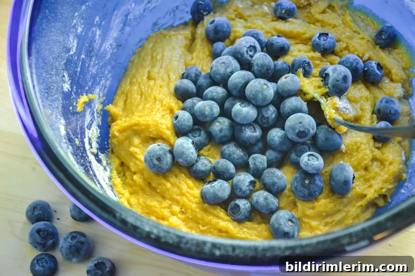 Blueberries being stirred into pumpkin muffins batter
