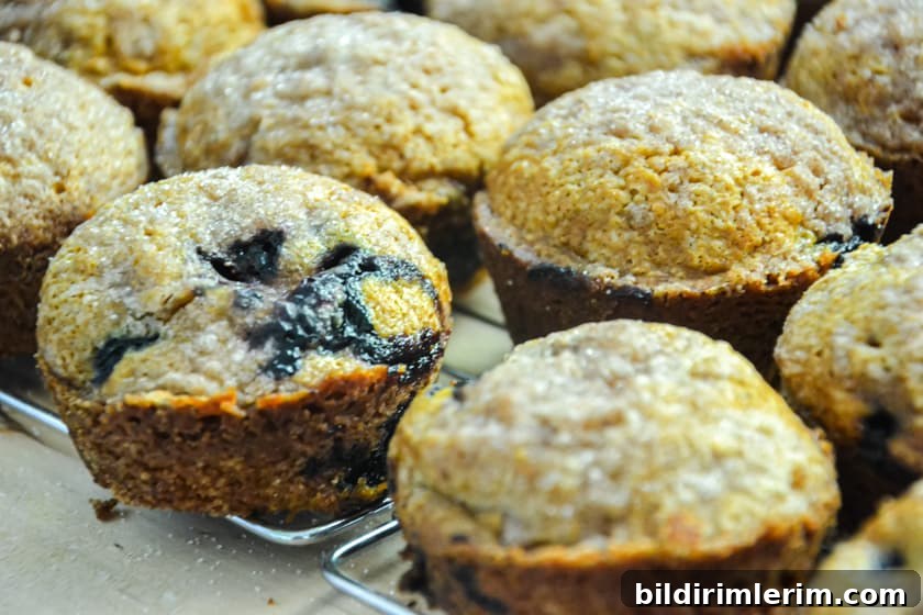 Pumpkin blueberry streusel muffins cooling on a wire cooling rack.