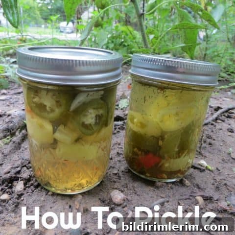 Pickled hot peppers