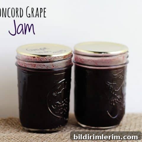 Concord grape jam