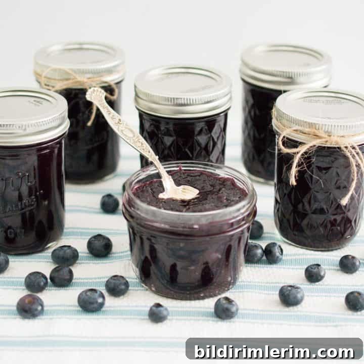 Low sugar blueberry jam