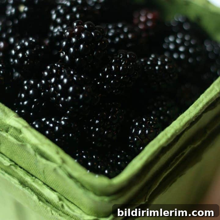 Blackberry jam with pectin