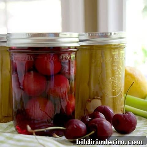 Pickled cherries and celery