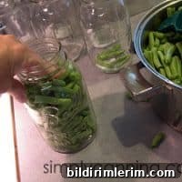 Canning green beans