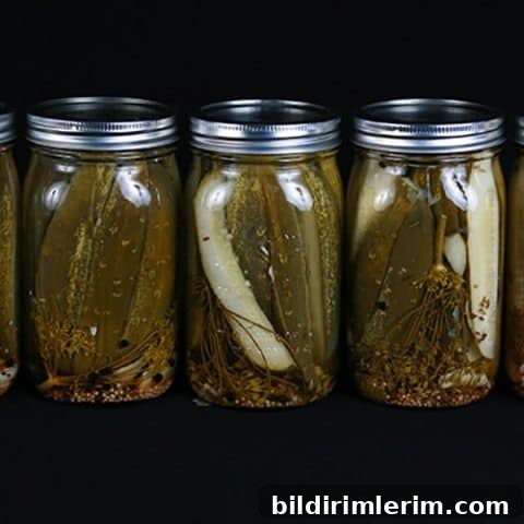 Homemade dill pickles