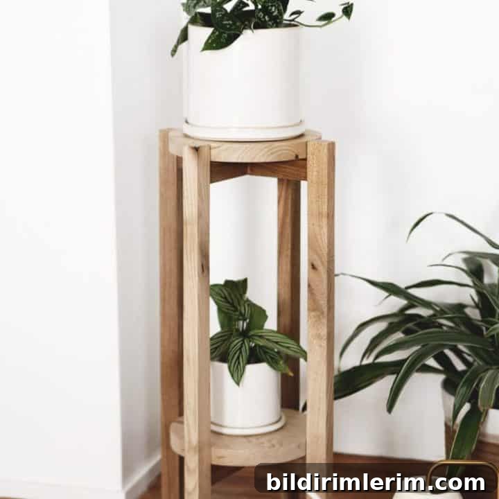 DIY Wood Plant Stand - a simple DIY with a video tutorial