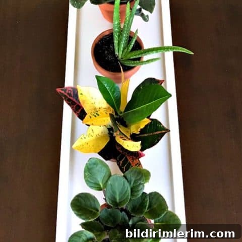 Easy DIY Long Wooden Table Runner Tray