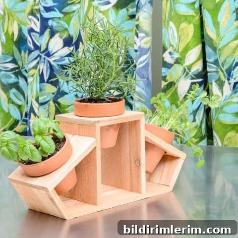 15 minute Countertop Herb Garden