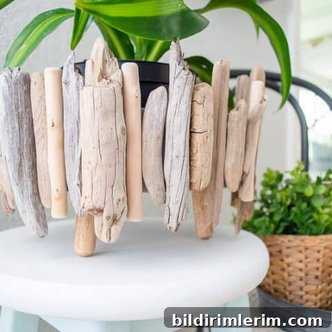 How to Make a Simple Driftwood Planter