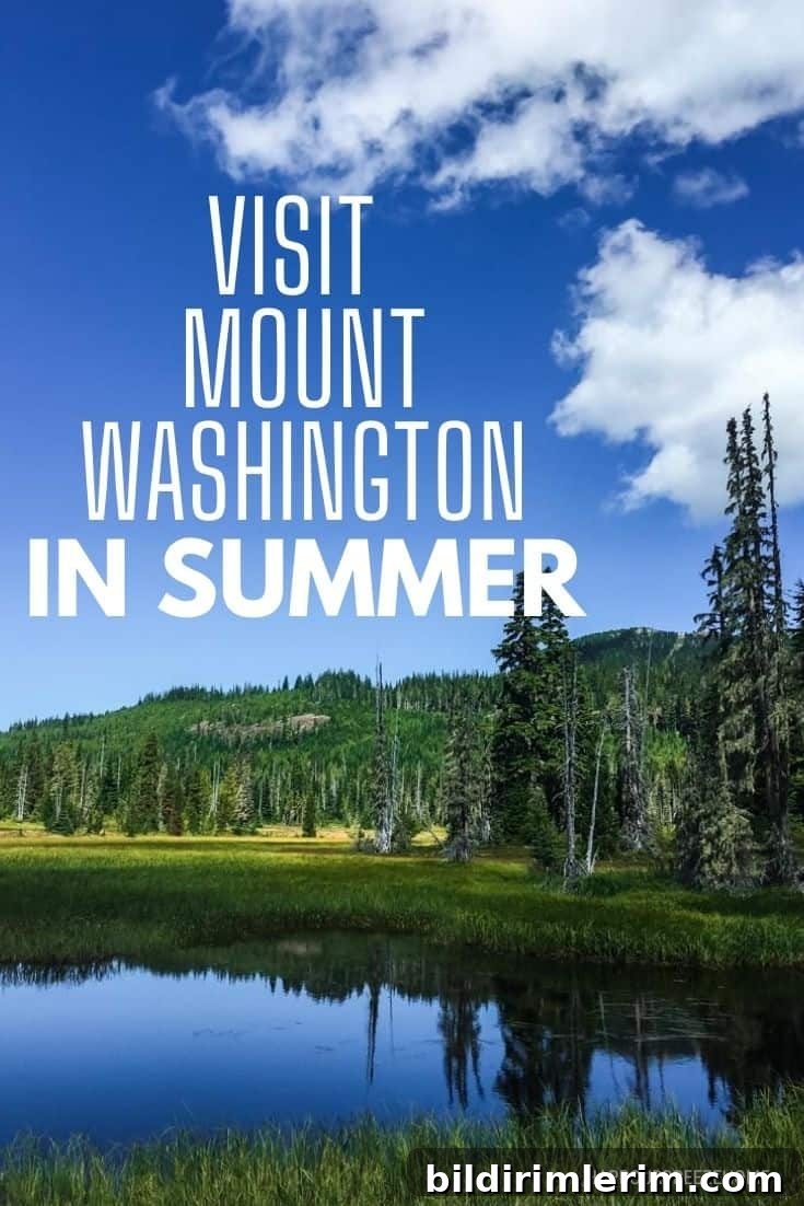 Scenic view at Mount Washington, Vancouver Island
