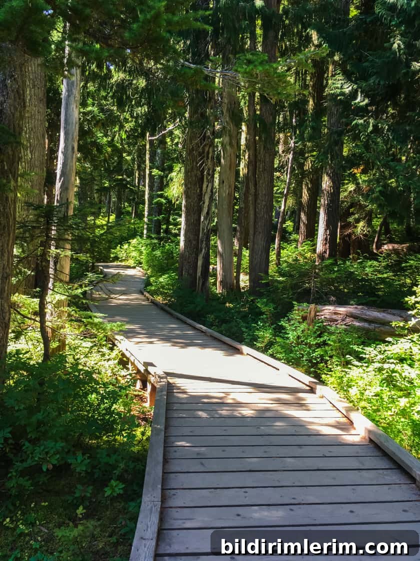 Trail and mountain scenery on Mount Washington