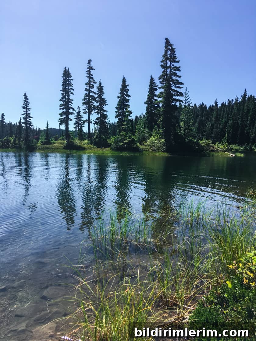 Summer activities at Mount Washington