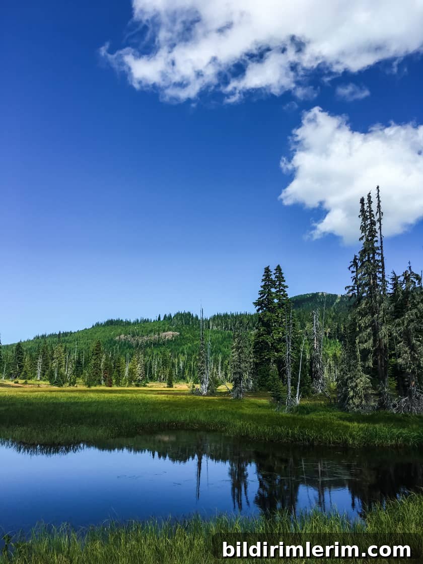 Hiking trail on Mount Washington