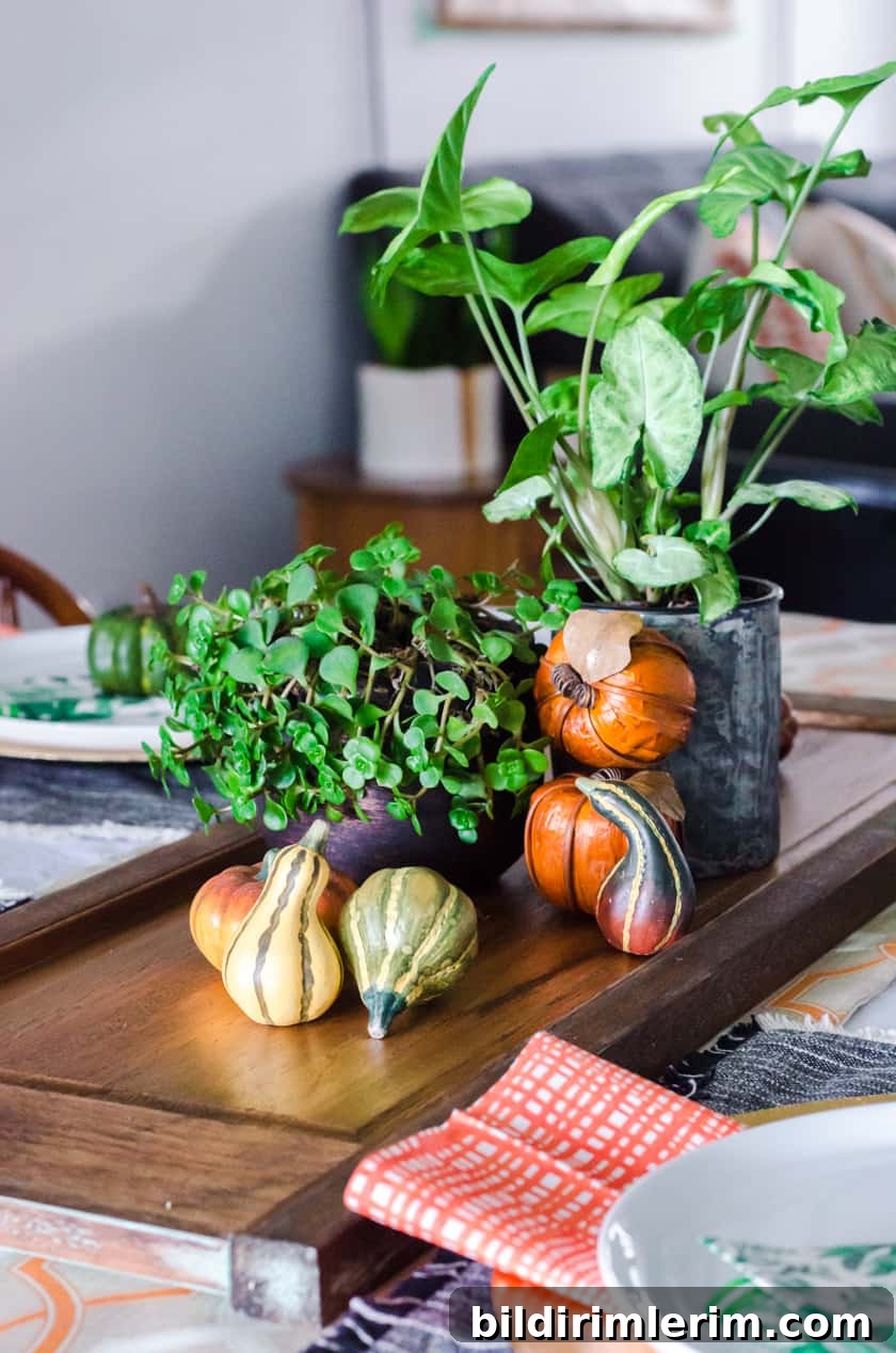 boho style Fall centerpiece with 2 houseplants and small faux pumpkins stacked beside them