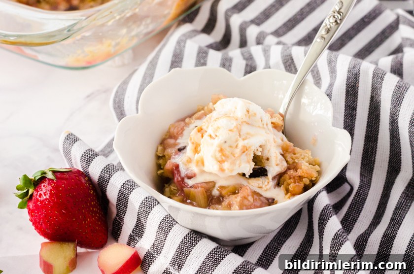 Homemade Rhubarb Crisp Recipe with Buttery Oat Topping 2 A bowl of rhubarb crisp with a scoop of vanilla ice cream on it.