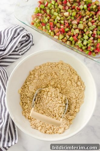 Homemade Rhubarb Crisp Recipe with Buttery Oat Topping 5 Rhubarb crisp oatmeal topping in a bowl with a pastry blender in it.