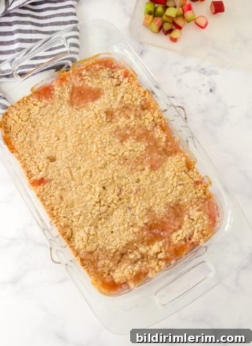Homemade Rhubarb Crisp Recipe with Buttery Oat Topping 7 Baked rhubarb crisp.