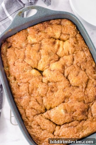 Baked rhubarb cake in a baking pan.