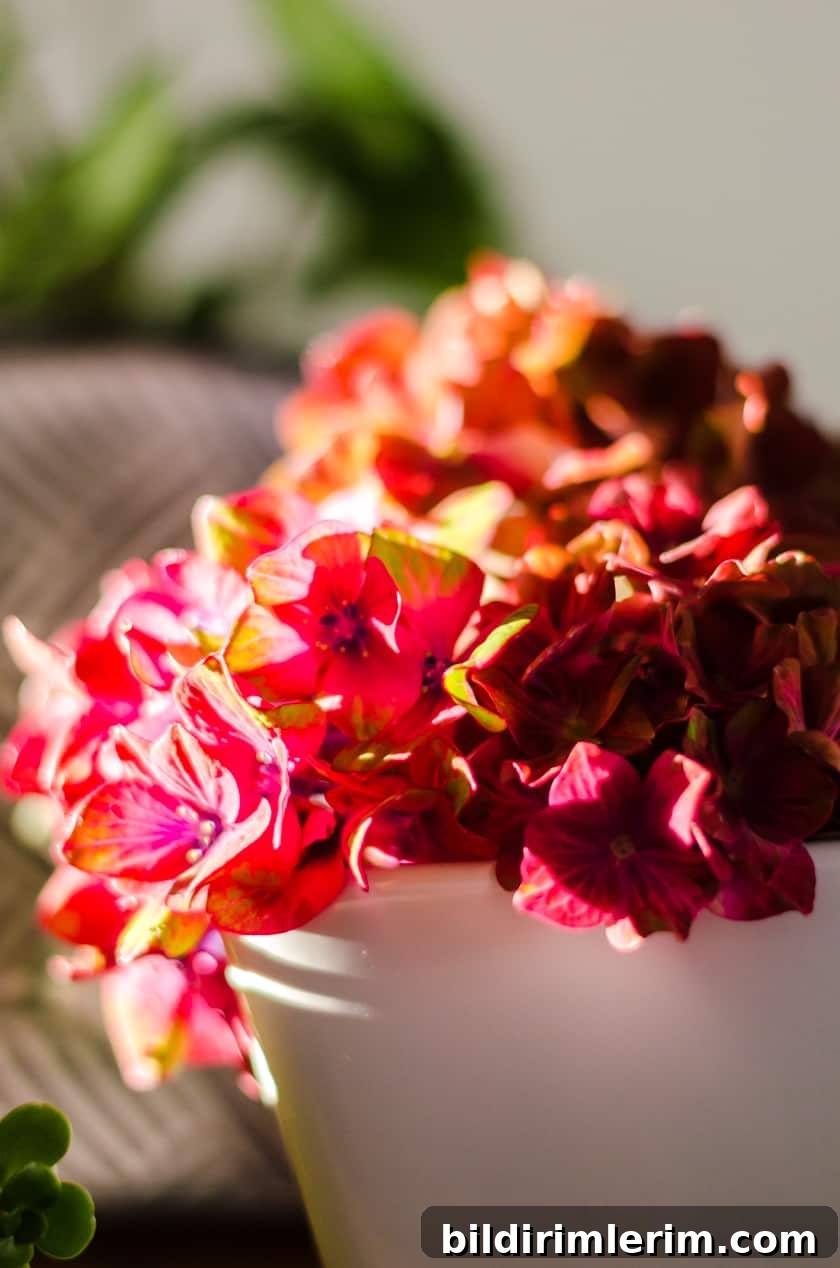 Flowers picked from your backyard garden and placed in a vase is a budget friendly room decor idea for Fall.
