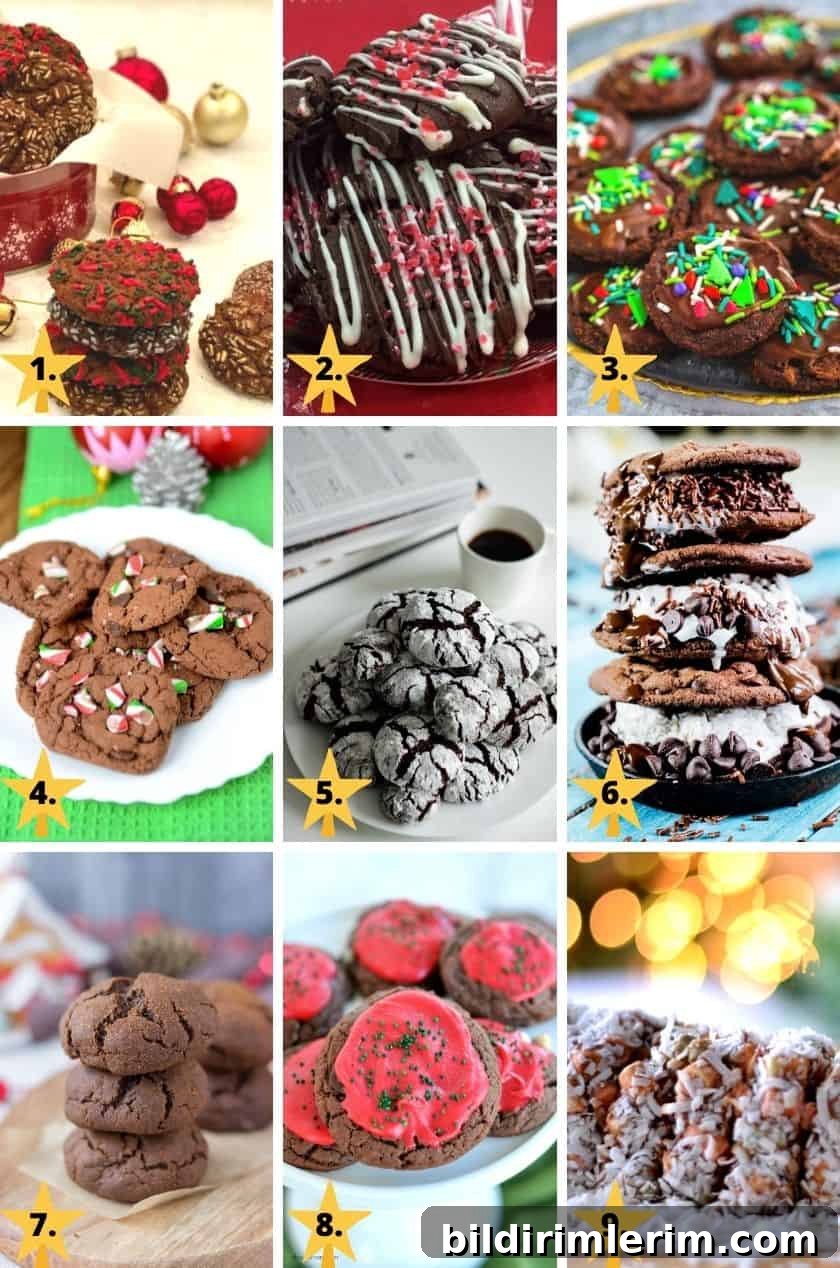 Pictures of 9 different types of chocolate Christmas cookies