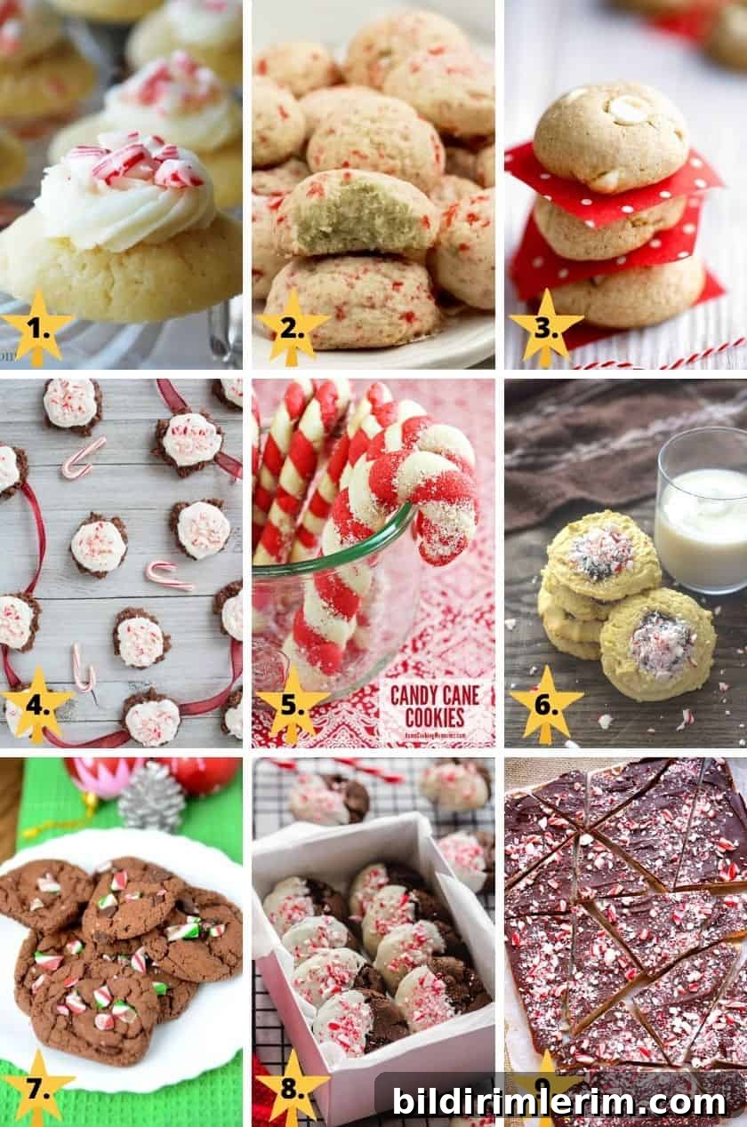 Christmas cookie images with peppermint or candy canes.