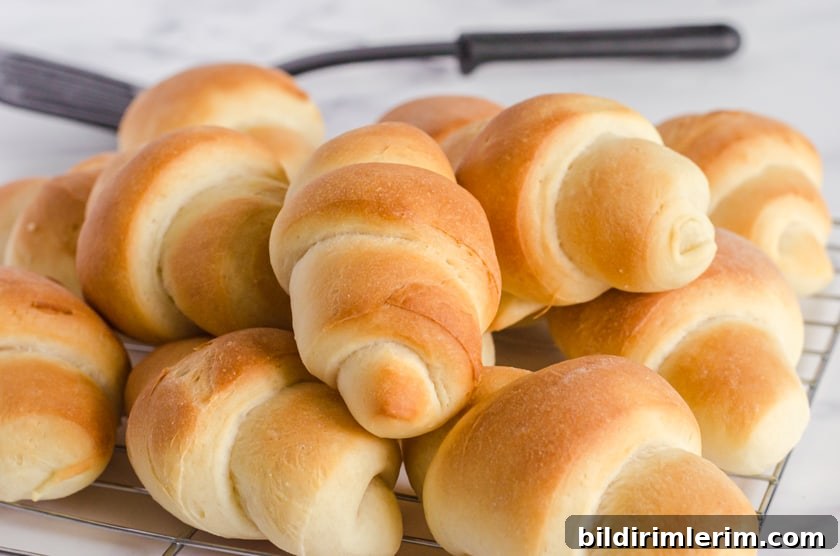 Bread Machine Crescent Rolls: Pillowy Homemade Recipe 2 Crescent shaped homemade bread machine dinner rolls piled on a cooling rack.