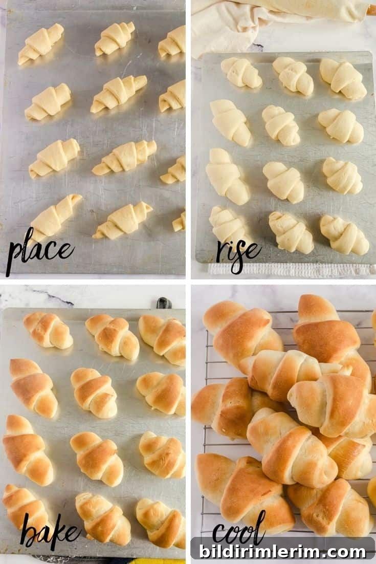 Bread Machine Crescent Rolls: Pillowy Homemade Recipe 4 Collage of the last 4 steps of making homemade dinner rolls with bread machine dough - place buns on pan, let rise, bake, and cool on wire rack.