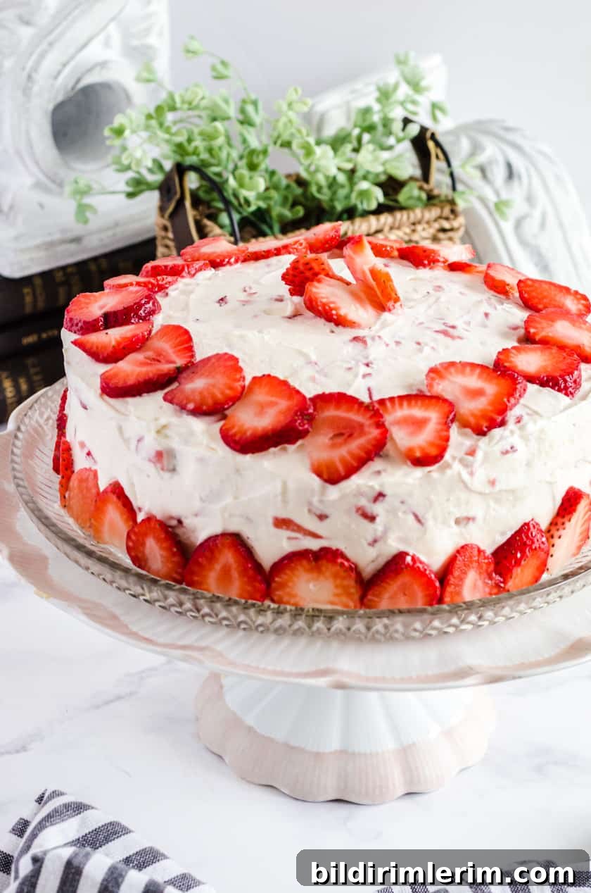 Vanilla strawberry layer cake with fresh strawberries decorating the top and sides on a cake stand.