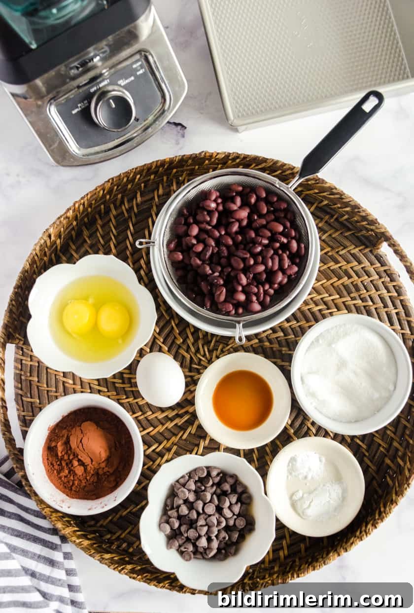 Black Bean Brownies Made in a Ninja Blender 3 Ingredients for blender black bean brownies.