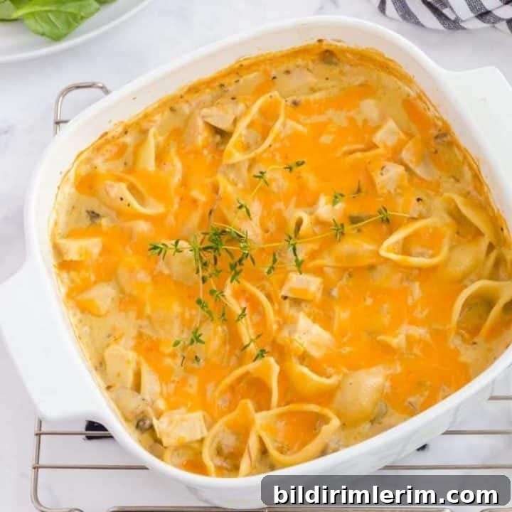 pan of leftover turkey pasta casserole