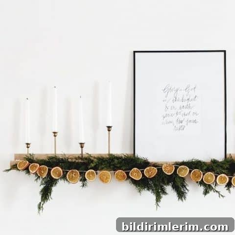 Image for Holiday Decor Idea : Dried Orange