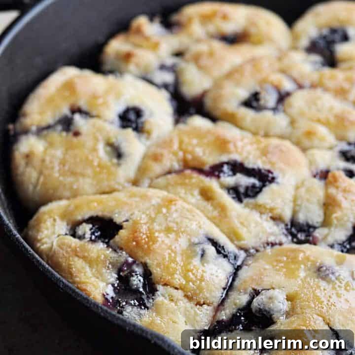 Blueberry Biscuits
