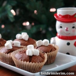 Hot Chocolate Muffins