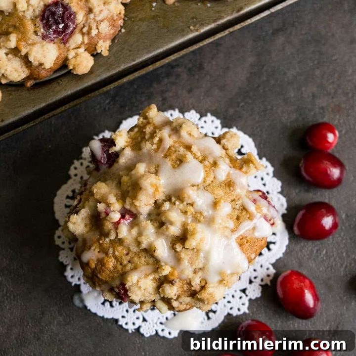 Cranberry Banana Muffins