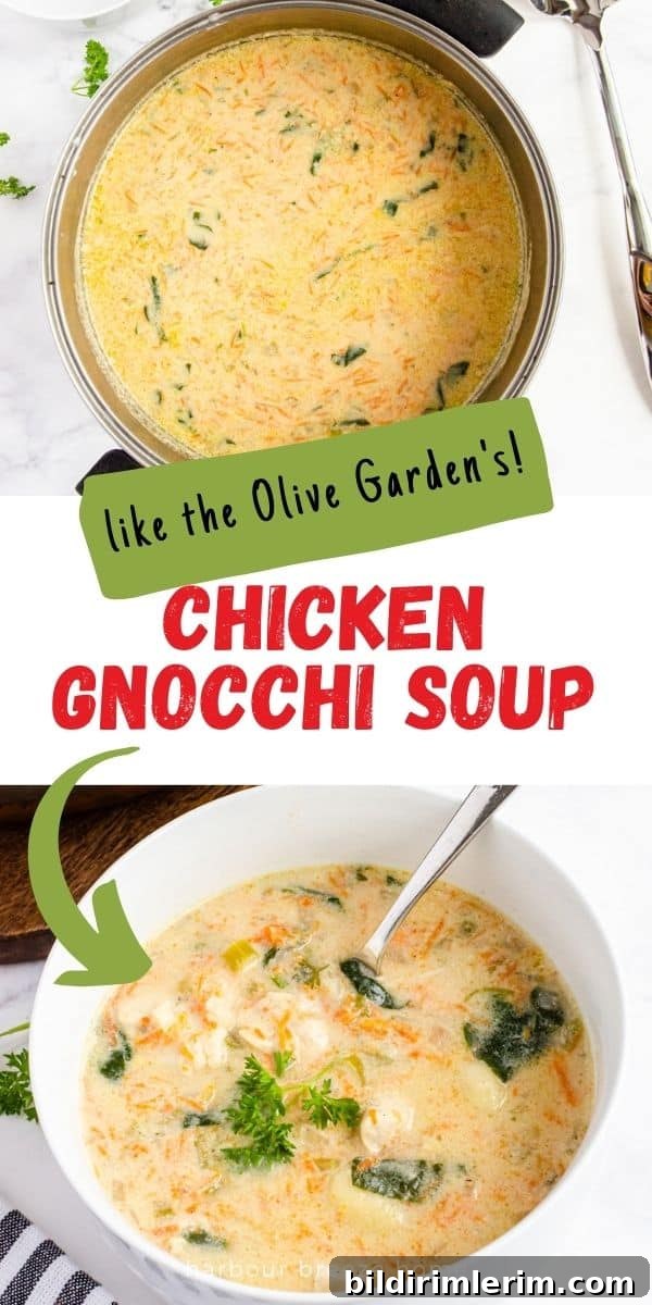 Chicken Gnocchi Soup recipe - similar to Olive Garden