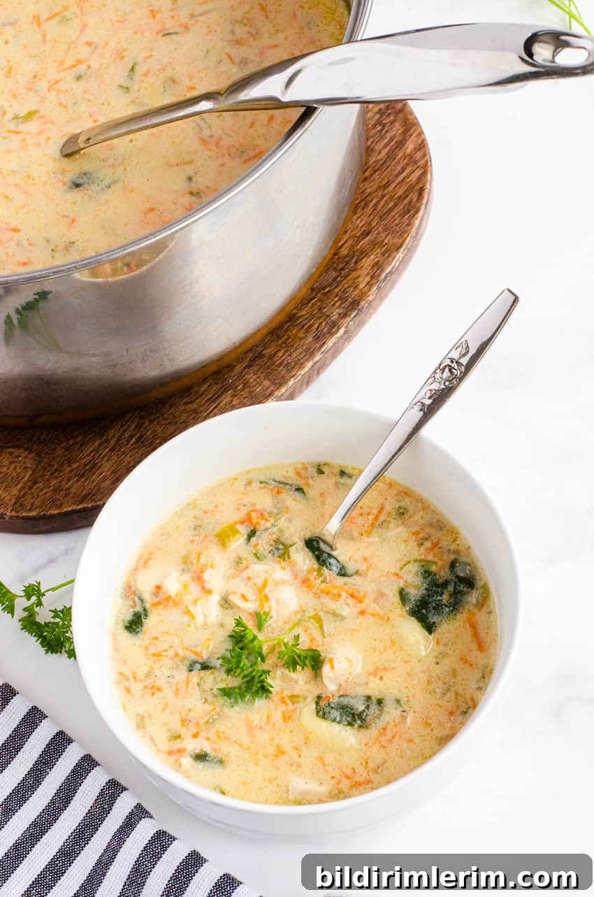 Soup ingredients and preparation