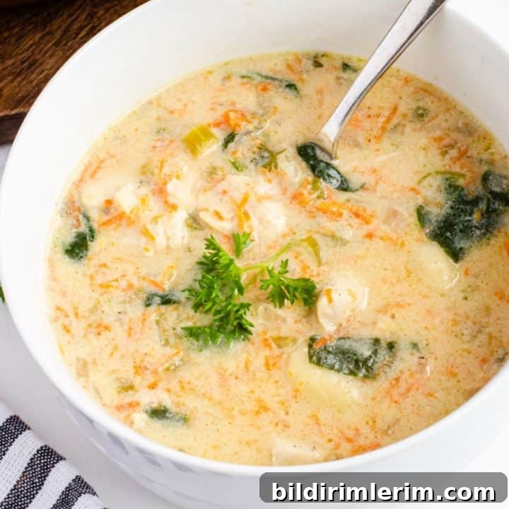 Chicken Gnocchi Soup - recipe card image