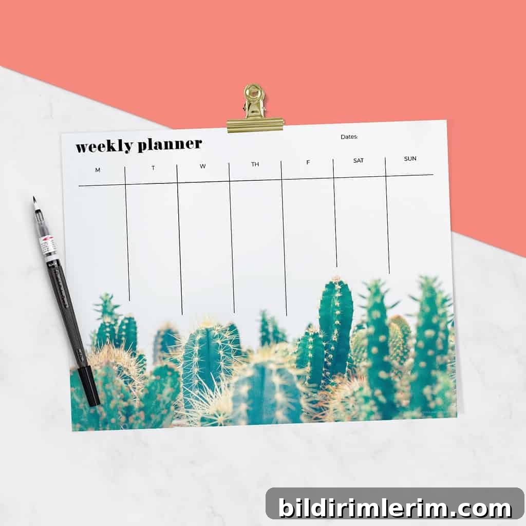 Image for FREEBIES // PRINTABLE WEEKLY CALENDARS