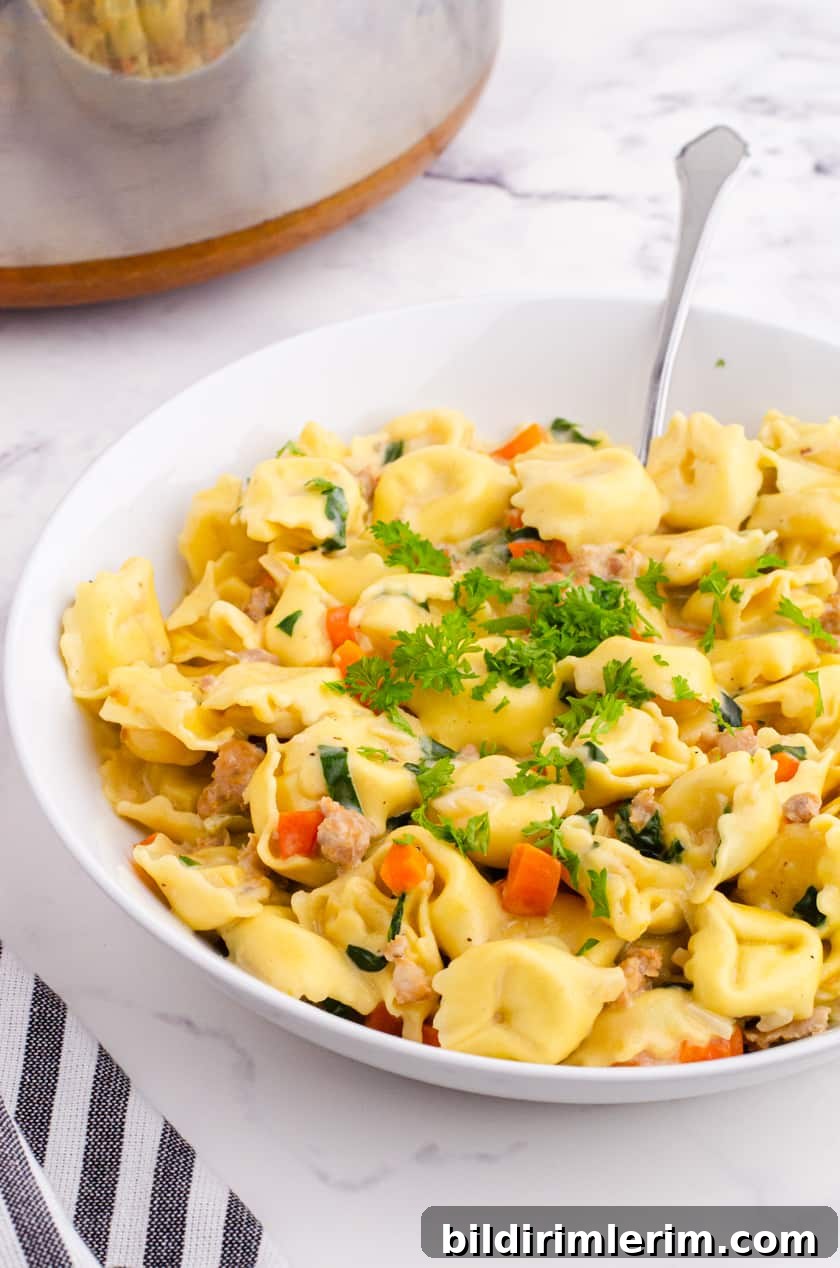 Bowl of creamy tortellini soup with spinach