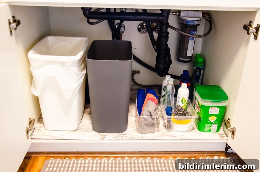 organized under sink cupboard with under cabinet mat